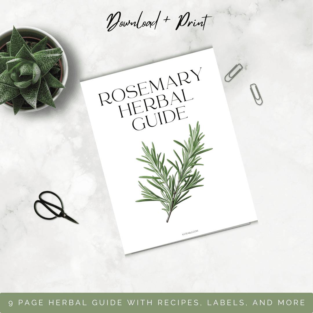 2 Rosemary Salve Recipes Image