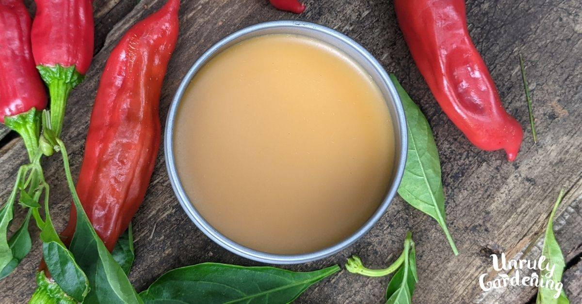 29 Sage Salve Recipes Image