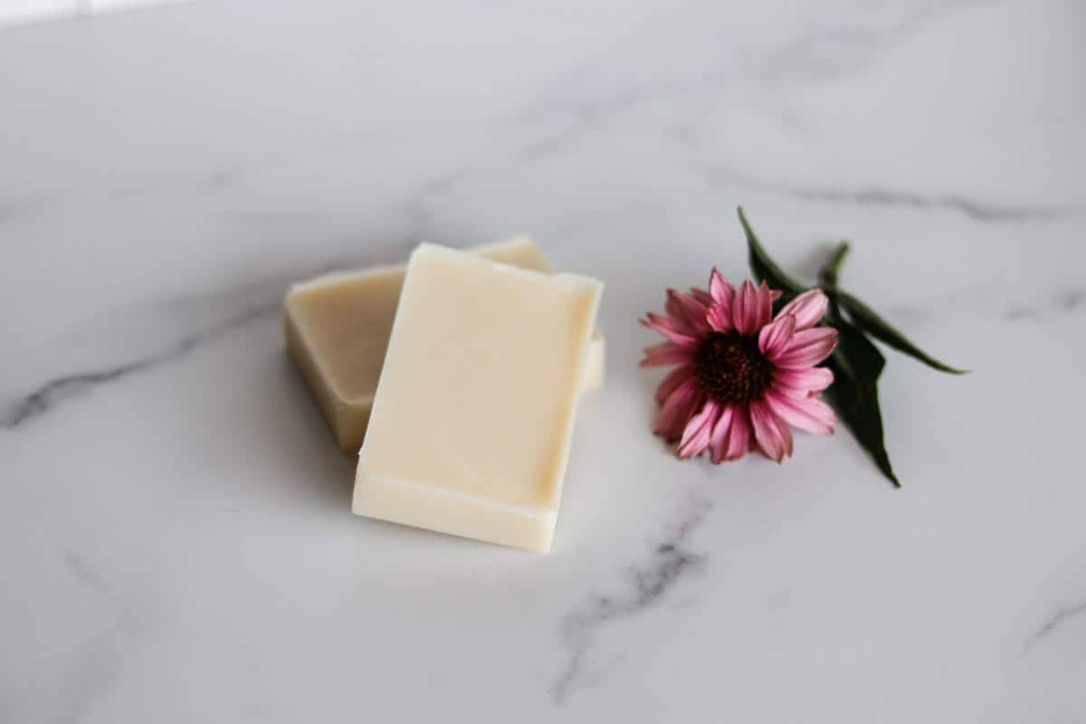 29 Homemade Tallow Lotion Recipes Image