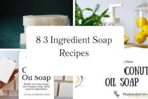 httpswishfulyou.com3-ingredient-soap-recipes_20251113103524