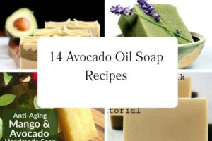 httpswishfulyou.comavocado-oil-soap-recipes_20251113104117