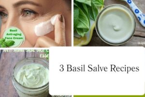 httpswishfulyou.combasil-salve-recipes_20251113104522