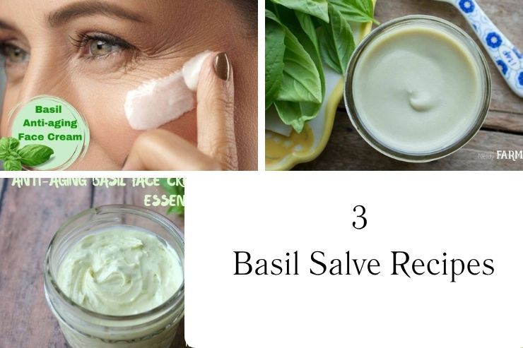 3 Basil Salve Recipes