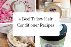 httpswishfulyou.combeef-tallow-hair-conditioner-recipes_20251113103331