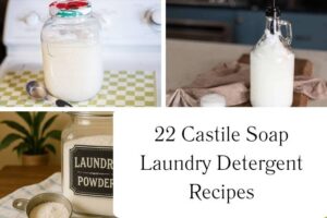 httpswishfulyou.comcastile-soap-laundry-detergent-recipes_20251113105956