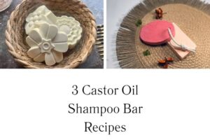 httpswishfulyou.comcastor-oil-shampoo-bar-recipes_20251113111449