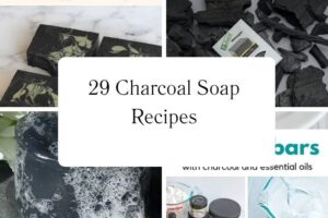 httpswishfulyou.comcharcoal-soap-recipes_20251113104011