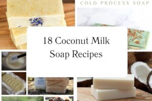 httpswishfulyou.comcoconut-milk-soap-recipes_20251113103637