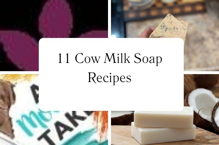 11 Cow Milk Soap Recipes