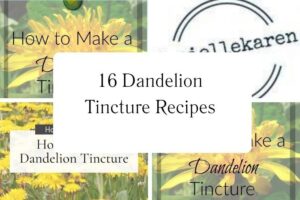 httpswishfulyou.comdandelion-tincture-recipes_20251113105711