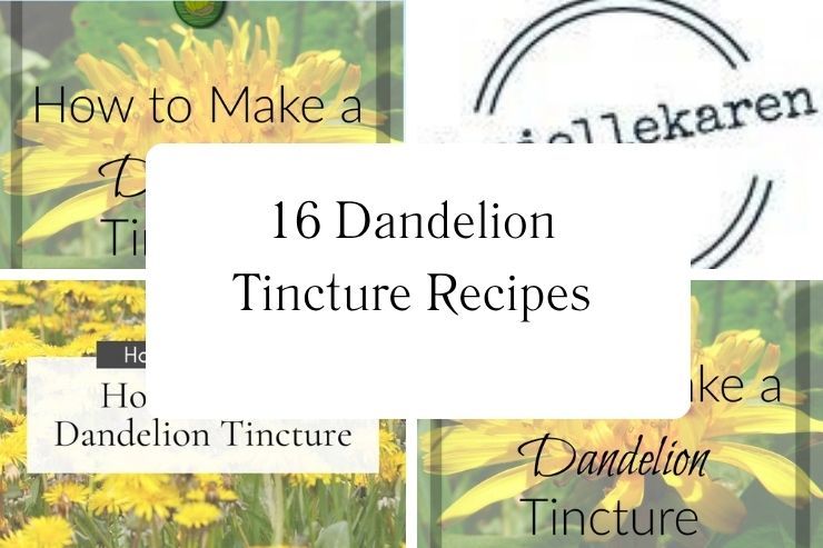 16 Dandelion Tincture Recipes