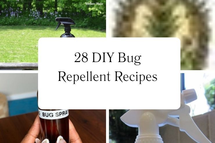 28 DIY Bug Repellent Recipes