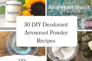 httpswishfulyou.comdiy-deodorant-arrowroot-powder-recipes_20251113110425