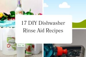 httpswishfulyou.comdiy-dishwasher-rinse-aid-recipes_20251113110321