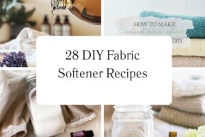 httpswishfulyou.comdiy-fabric-softener-recipes_20251113110224