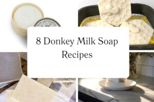 httpswishfulyou.comdonkey-milk-soap-recipes_20251113103452