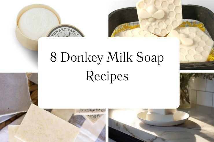 8 Donkey Milk Soap Recipes
