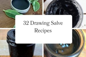httpswishfulyou.comdrawing-salve-recipes_20251113101815