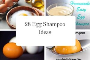 httpswishfulyou.comegg-shampoo-ideas_20251113111420