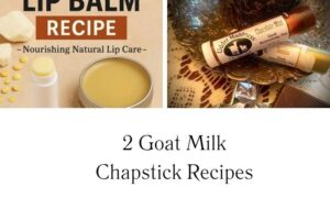 httpswishfulyou.comgoat-milk-chapstick-recipes_20251113111819