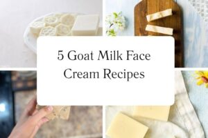 httpswishfulyou.comgoat-milk-face-cream-recipes_20251113111304