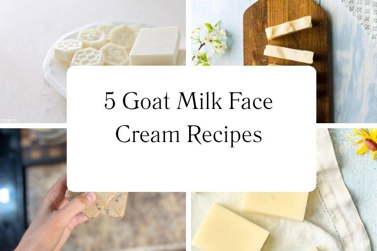 5 Goat Milk Face Cream Recipes