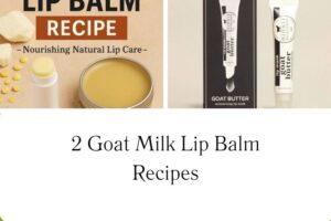 httpswishfulyou.comgoat-milk-lip-balm-recipes_20251113103552