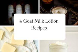 httpswishfulyou.comgoat-milk-lotion-recipes_20251113110133