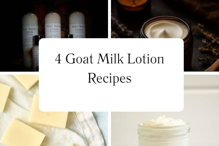 4 Goat Milk Lotion Recipes