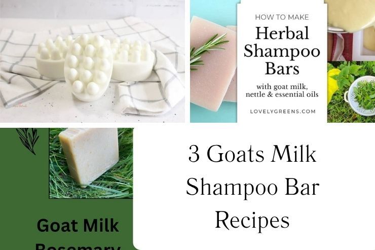 3 Goats Milk Shampoo Bar Recipes