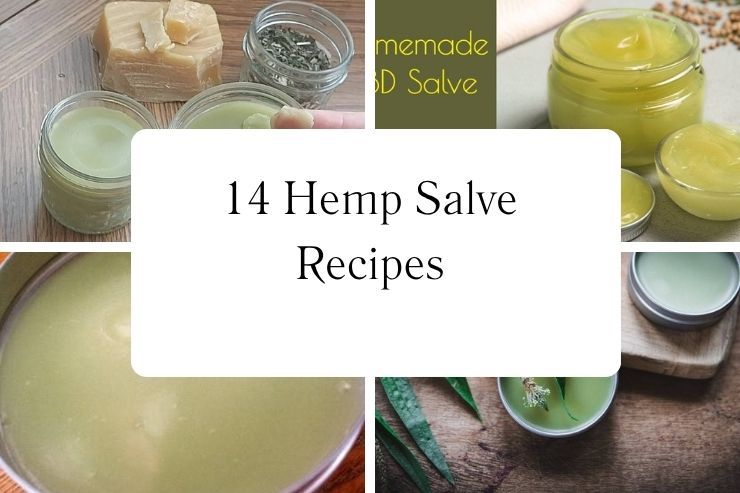 14 Hemp Salve Recipes