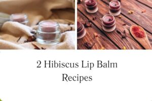 httpswishfulyou.comhibiscus-lip-balm-recipes_20251113103933