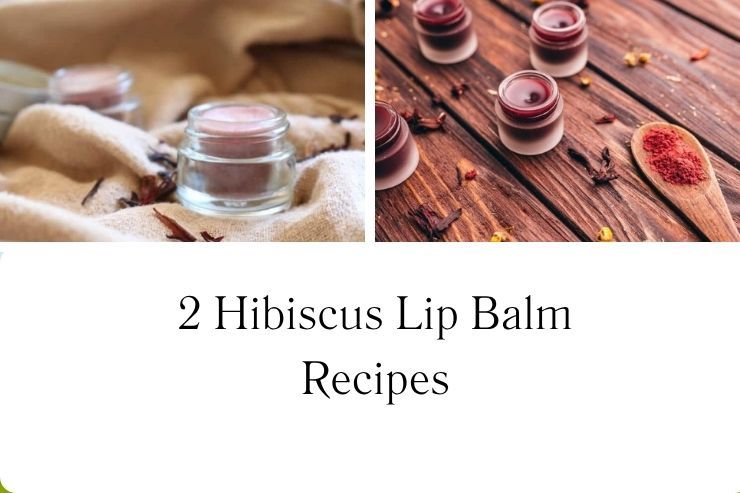 2 Hibiscus Lip Balm Recipes