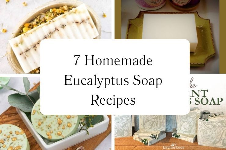 7 Homemade Eucalyptus Soap Recipes