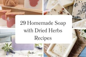 httpswishfulyou.comhomemade-soap-with-dried-herbs-recipes_20251113102537