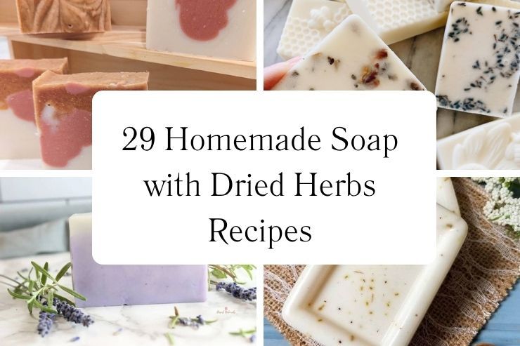 29 Homemade Soap with Dried Herbs Recipes