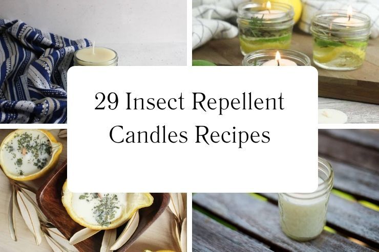 29 Insect Repellent Candles Recipes