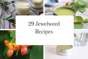 httpswishfulyou.comjewelweed-recipes_20251113105215
