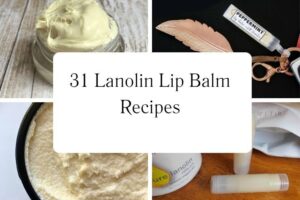 httpswishfulyou.comlanolin-lip-balm-recipes_20251113101742