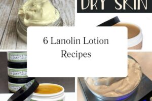 httpswishfulyou.comlanolin-lotion-recipes_20251113102021