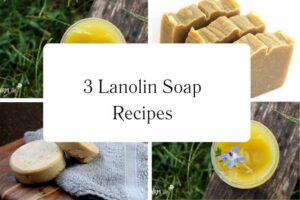httpswishfulyou.comlanolin-soap-recipes_20251113102013