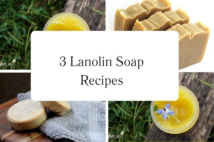 3 Lanolin Soap Recipes