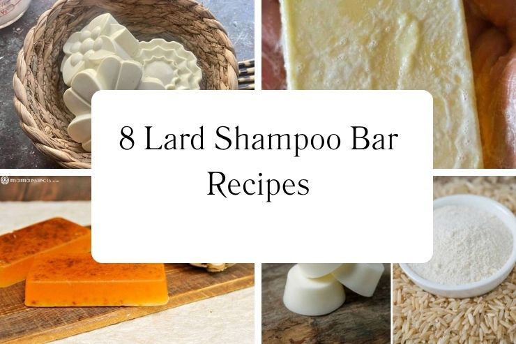 8 Lard Shampoo Bar Recipes