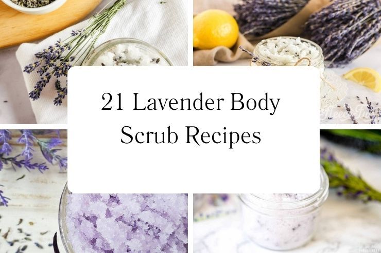 21 Lavender Body Scrub Recipes