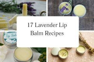 httpswishfulyou.comlavender-lip-balm-recipes_20251113103807