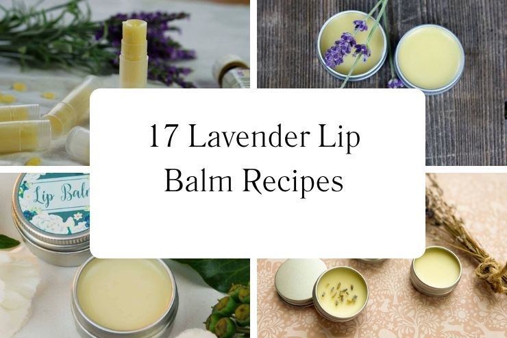 17 Lavender Lip Balm Recipes