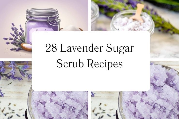 28 Lavender Sugar Scrub Recipes