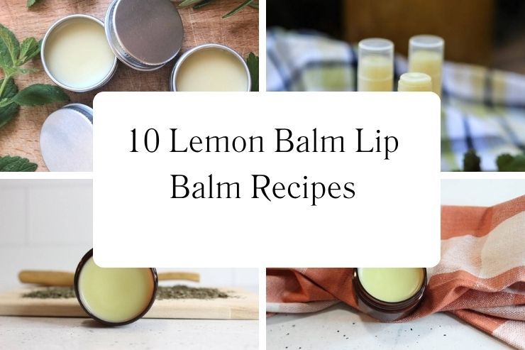 10 Lemon Balm Lip Balm Recipes