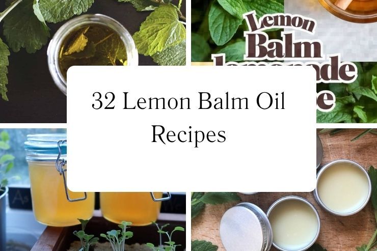 32 Lemon Balm Oil Recipes