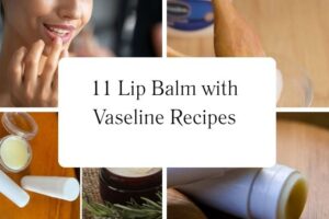 httpswishfulyou.comlip-balm-with-vaseline-recipes_20251113103700